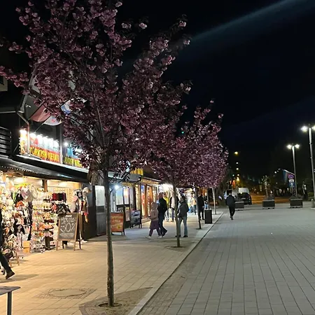 Apartament Kajuta Przy Plaży Władysławowo Zewnętrze zdjęcie