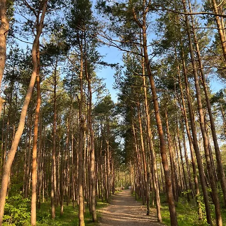 Apartament Kajuta Przy Plaży Władysławowo Zewnętrze zdjęcie